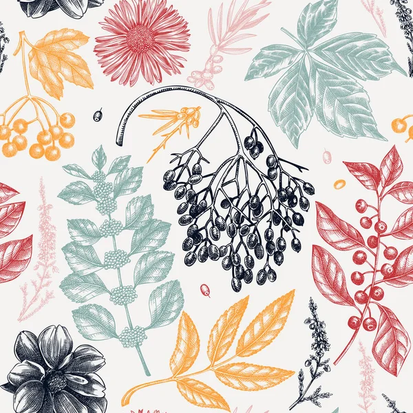 手描きの秋のシームレスなパターン 秋の葉 花のスケッチを持つエレガントな植物の背景 包装紙 包装に最適です — ストックベクタ