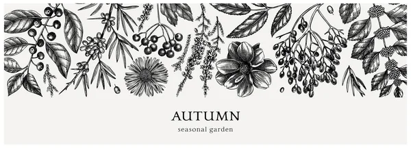 手绘秋旗 精致的植物图案 秋天的叶子 花朵素描 完美的请柬 老式花卉模板 — 图库矢量图片