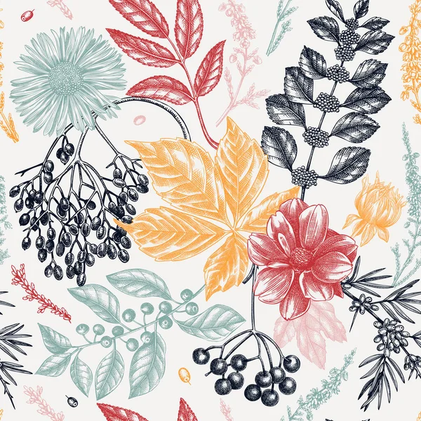 手绘秋天复古背景图 优雅的植物背景 秋天的叶子 花朵和枝条素描 适用于面料 包装纸 包装材料 — 图库矢量图片