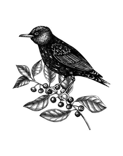 Ручной Рисунок Птицы Осенними Цветами Осенний Дизайн Птицами Цветами Геометрическими — стоковый вектор