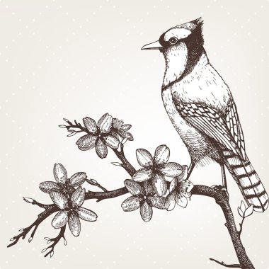 Kuş çiçek açan ağaç dal üzerinde