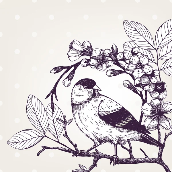 Pájaro en rama de árbol en flor — Vector de stock