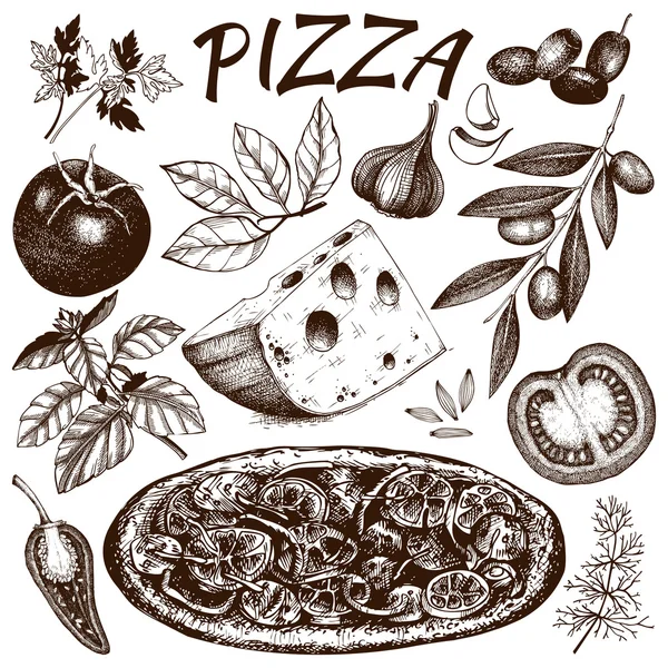 Vintage Pizza Sketch Set — Stockvektor