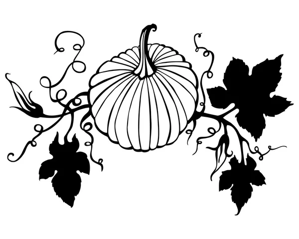 Calabaza dibujada a mano — Vector de stock