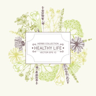 Bitkisel çiçek çizim ile Vintage çerçeve