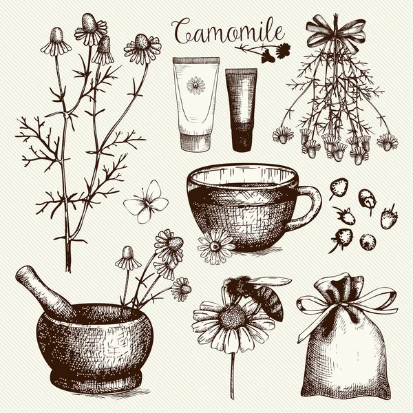 Vintage collectie van grafische kamille bloemen — Stockvector