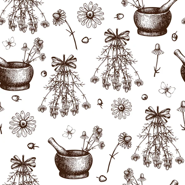Sfondo con fiori di camomilla — Vettoriale Stock