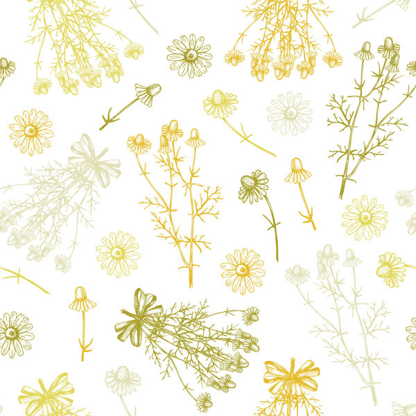 фон с цветами ромашки
