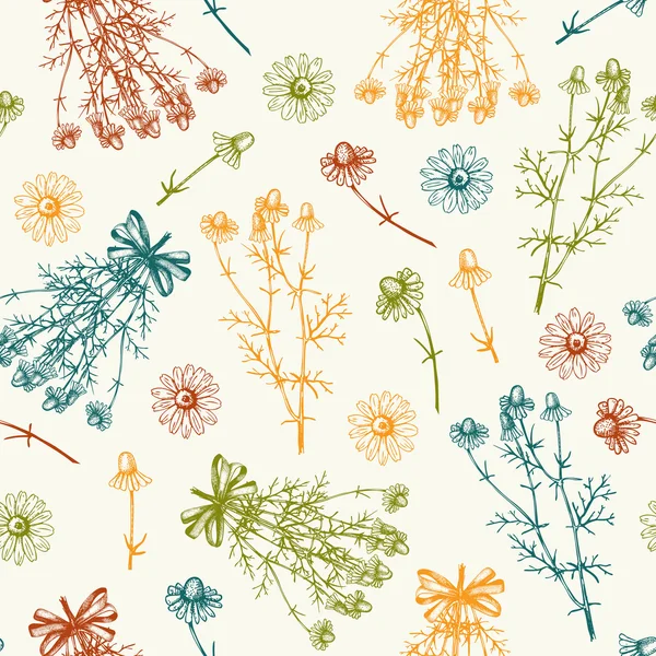 Fondo con flores de manzanilla — Archivo Imágenes Vectoriales