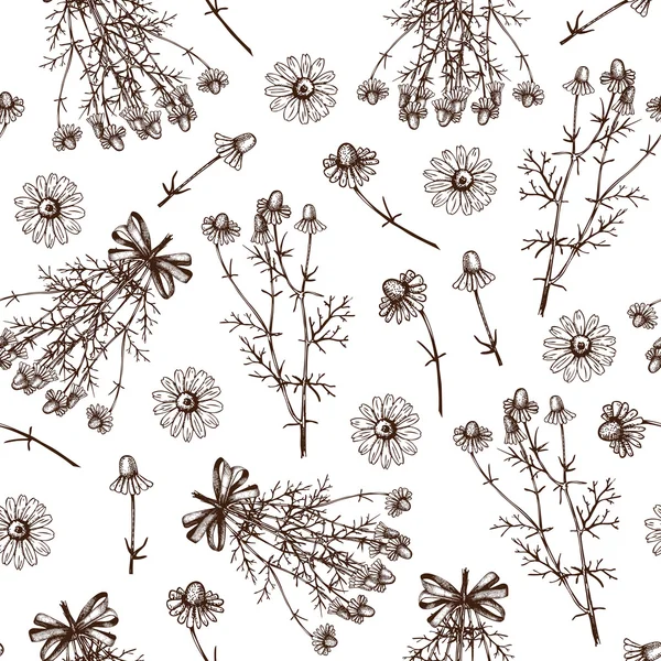 Fond avec des fleurs de camomille et de lavande — Image vectorielle