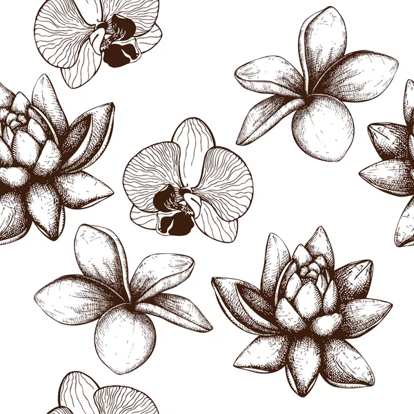 Seamless pattern with Ink hand drawn Frangipani (Plumeria) flowers, lotus a...