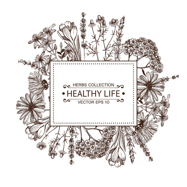 Винтажная рамка с иллюстрацией травяных цветов
