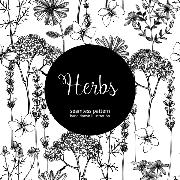 Pattern with ink hand drawn herbs — Stock Vector