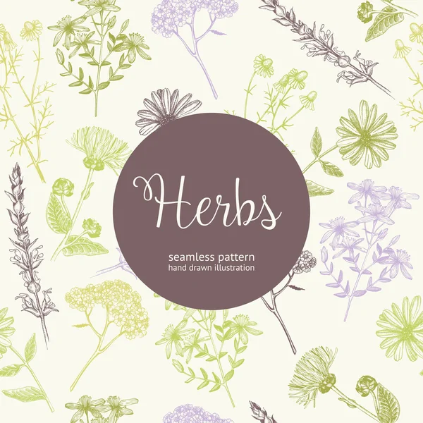 Seamless vintage herbal background — Stock Vector