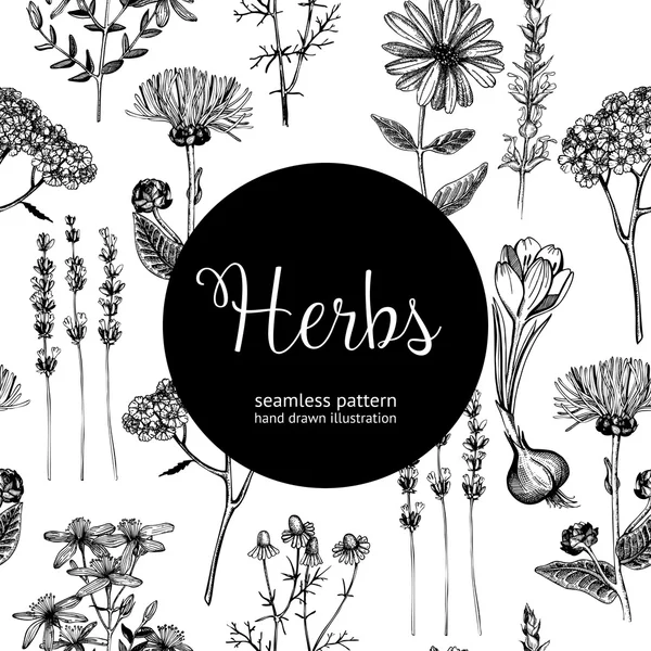 Fondo herbal vintage sin costuras — Vector de stock