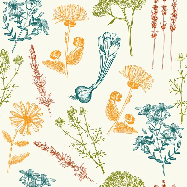 Fondo herbal inconsútil — Vector de stock