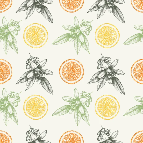 Vintage citrus background — Stock Vector