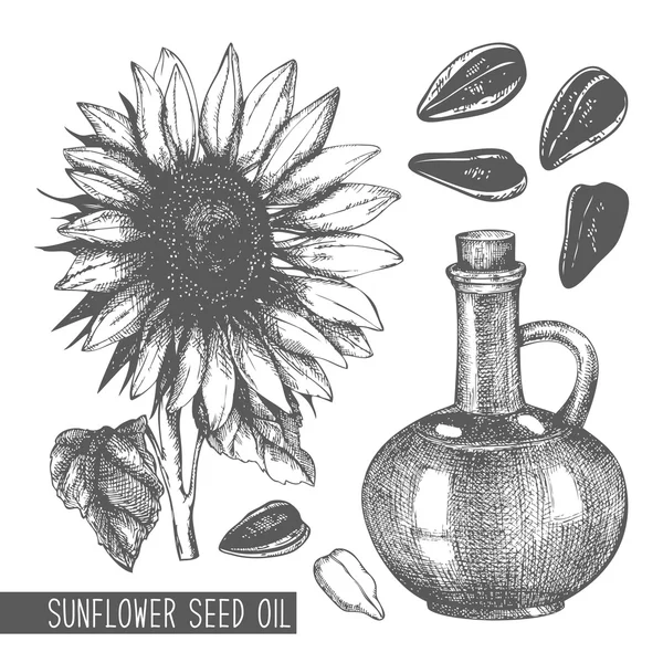 Ulei de semințe de floarea soarelui — Vector de stoc