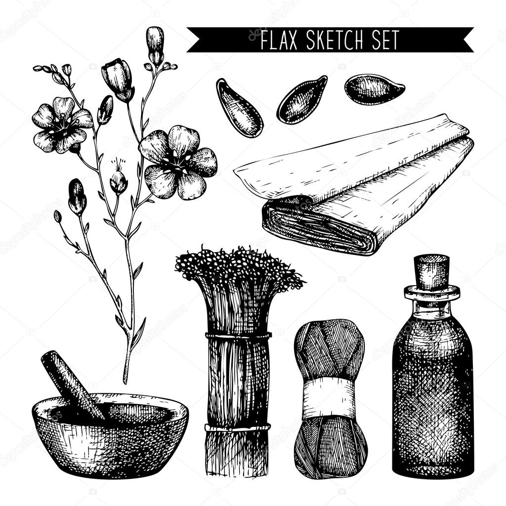 Vintage flax sketch