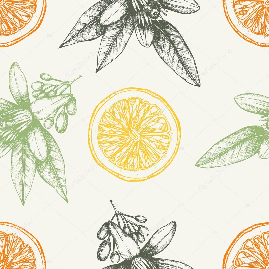 Vintage citrus background