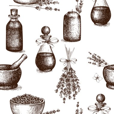 Lavanta illüstrasyon mürekkep el çekilmiş