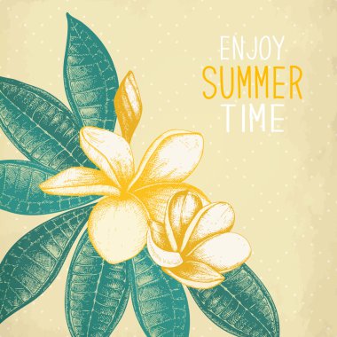 Plumeria çiçekler yaz zaman zevk