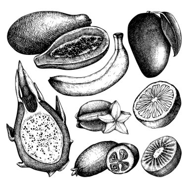 elle çizilmiş egzotik meyve