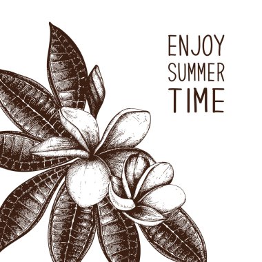 Plumeria çerçeve ile yaz zaman zevk