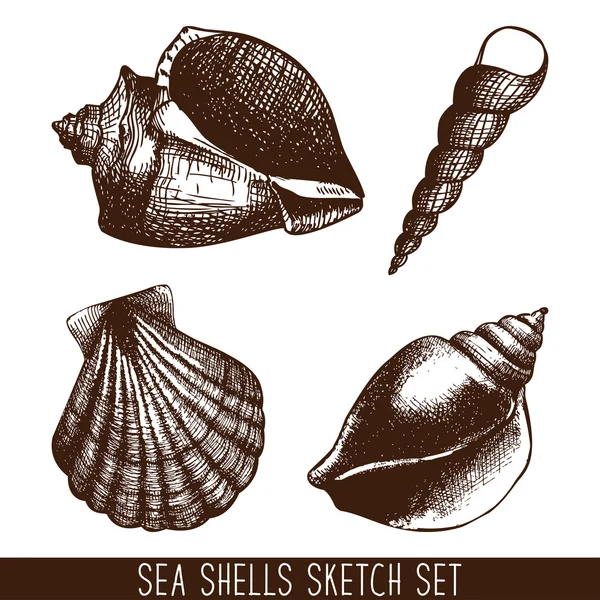 Hand drawn pattern with sea shells — Stock Vector