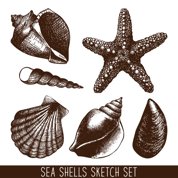 Hand drawn pattern with sea shells — Stock Vector