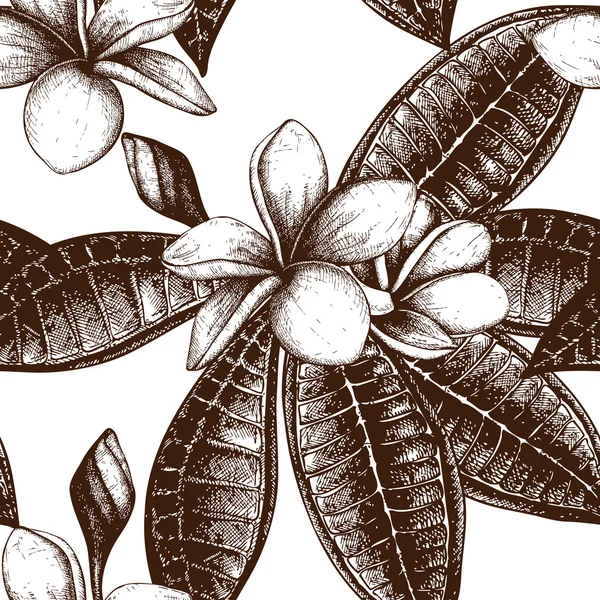 Plumeria motif de fleurs — Image vectorielle