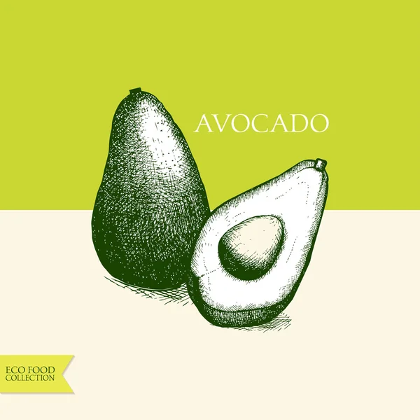 Aguacate de mano de tinta — Vector de stock