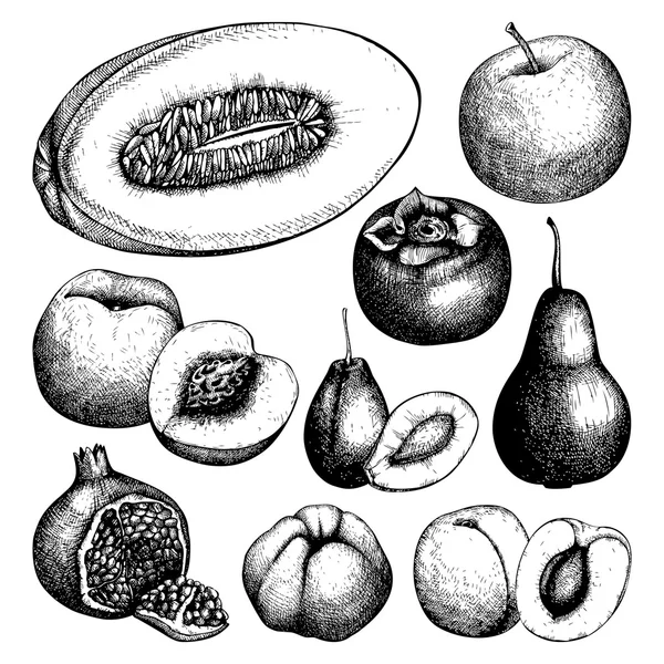 Frutas exóticas dibujadas a mano — Archivo Imágenes Vectoriales