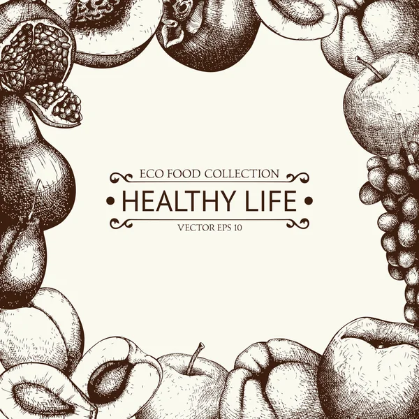Collection cadre de fruits traditionnels et exotiques — Image vectorielle