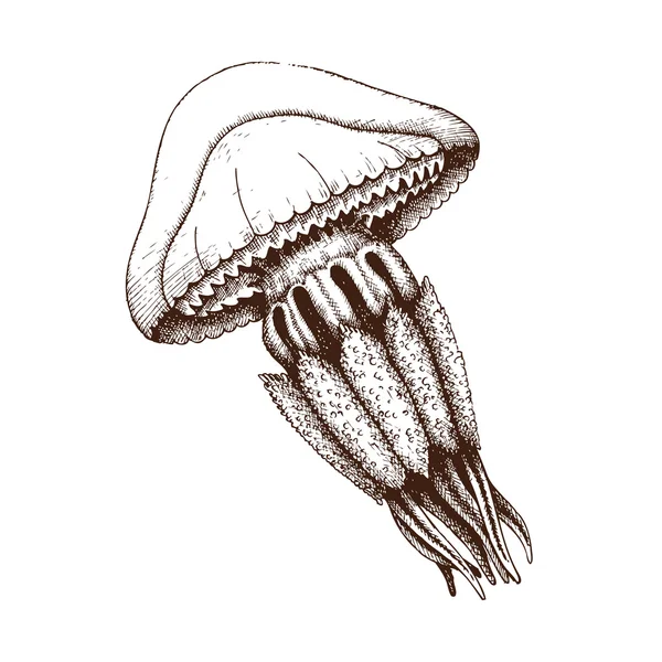 Meduse disegnate a mano — Vettoriale Stock