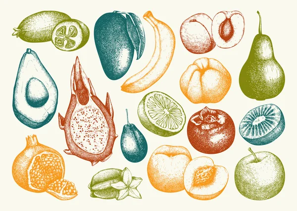 Frutas exóticas dibujadas a mano — Archivo Imágenes Vectoriales