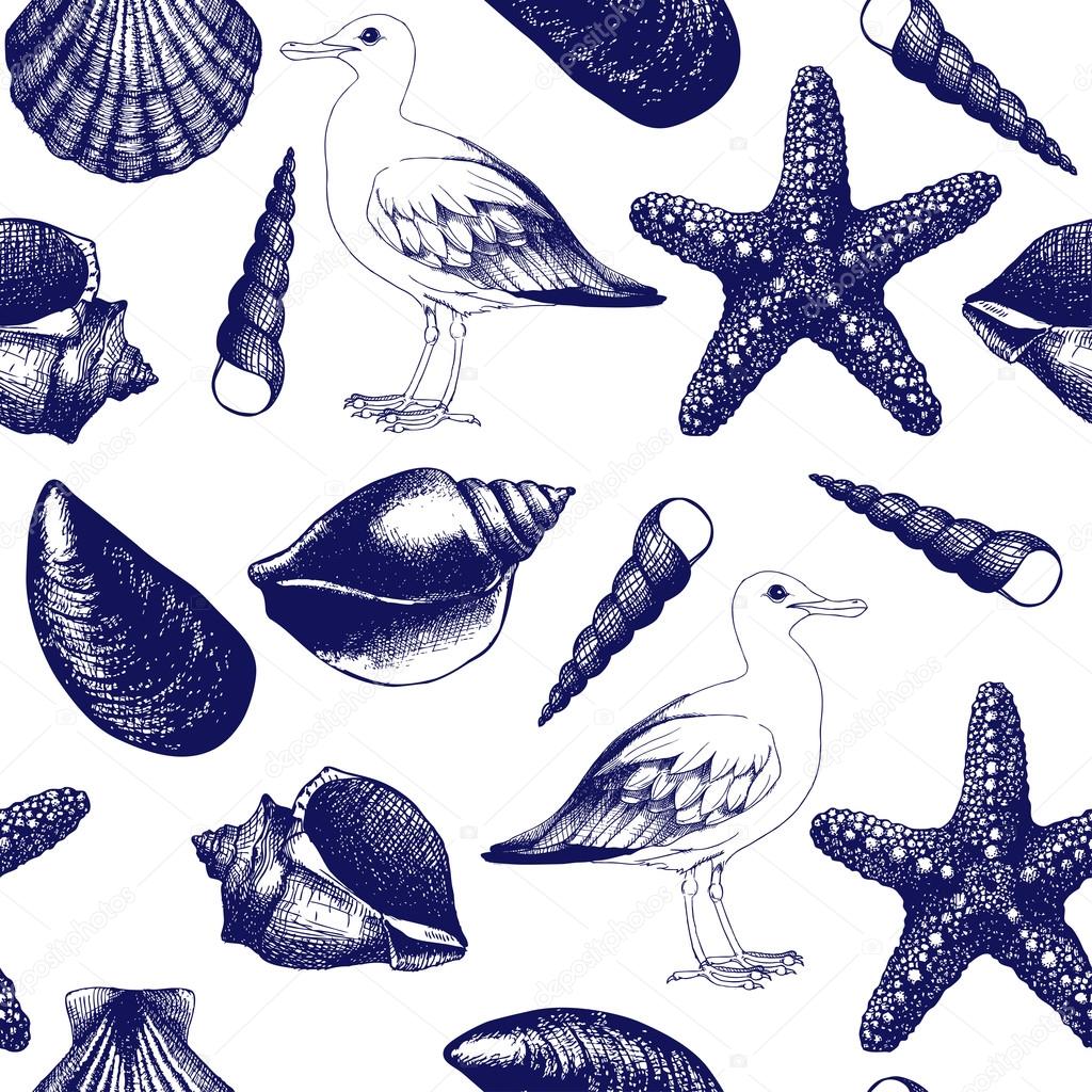 sea shells and sea gulls sketch