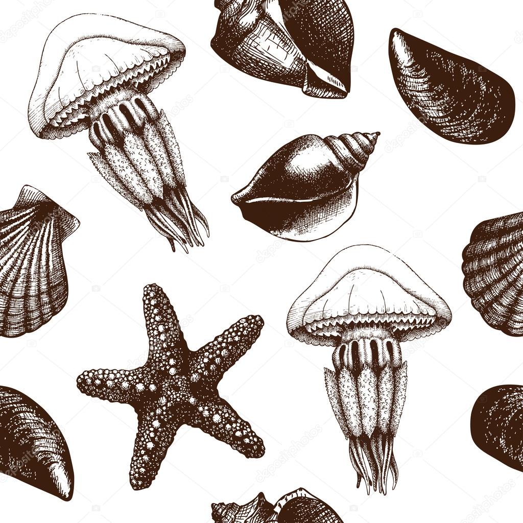 hand drawn sea shells and jellyfish