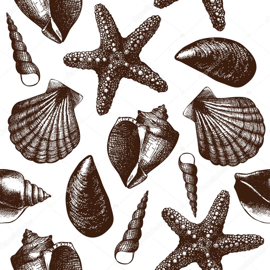 Hand drawn pattern with sea shells