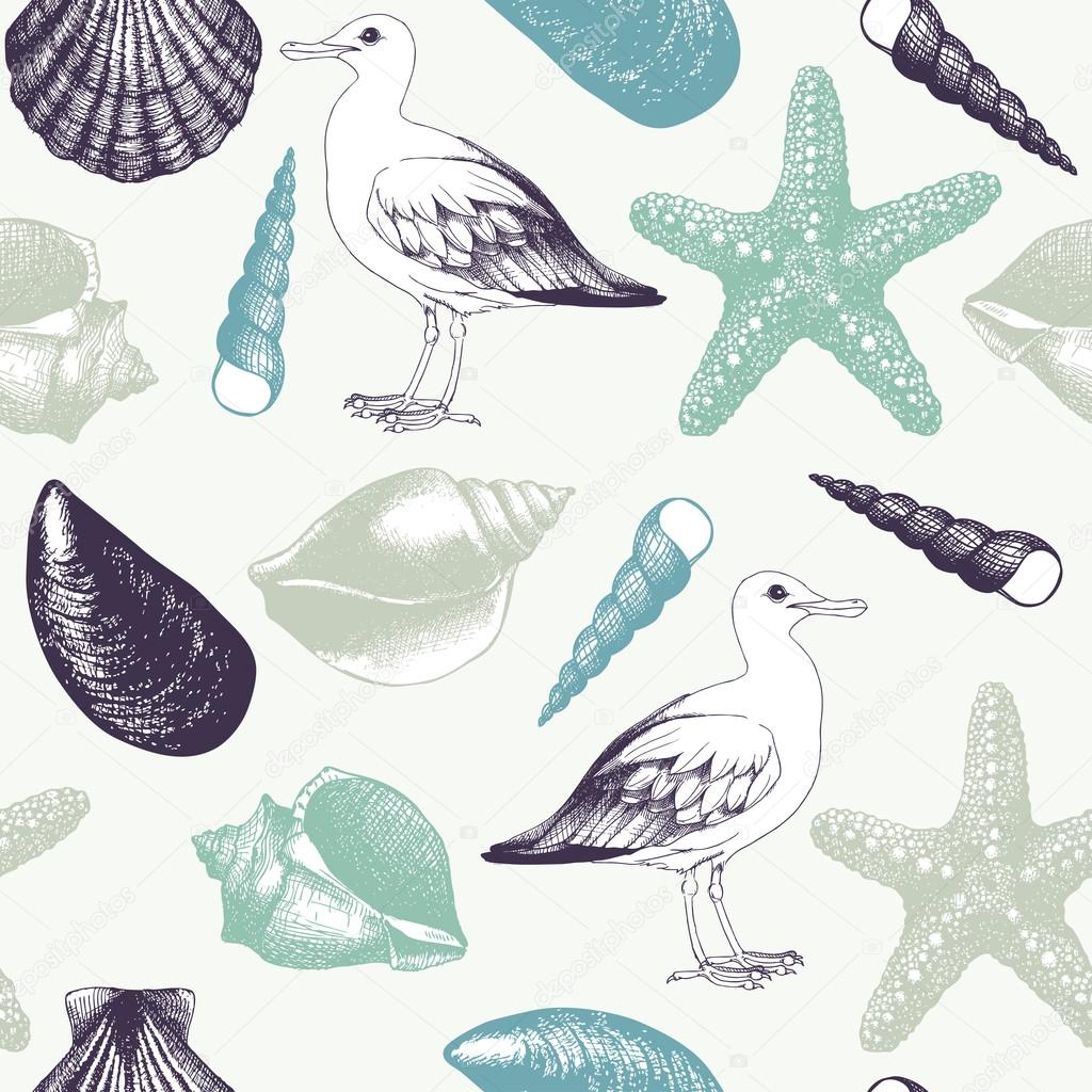 sea shells and sea gulls sketch