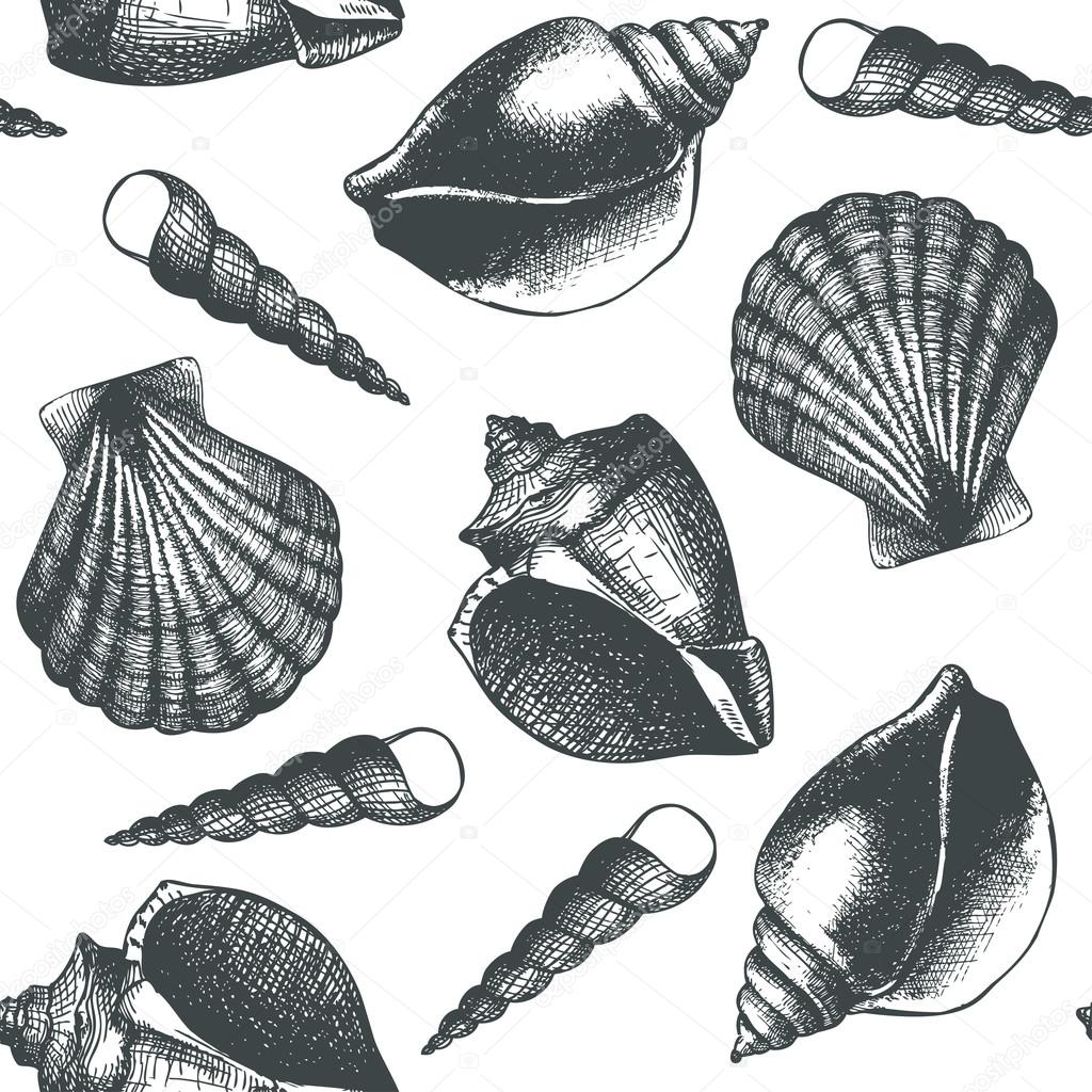 Hand drawn pattern with sea shells