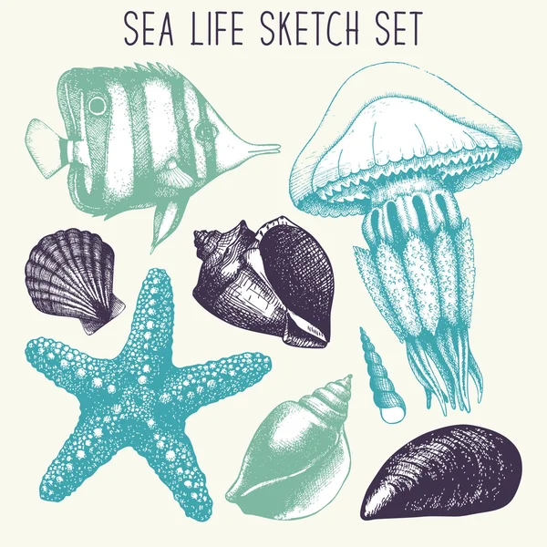 Peces, estrellas de mar, medusas y conchas marinas — Vector de stock