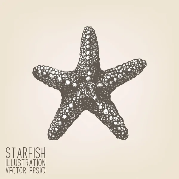 Elle çizilmiş deniz yıldızı — Stok Vektör