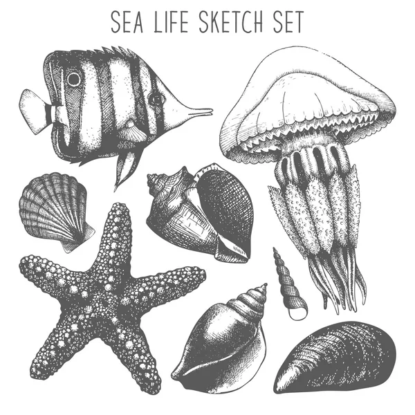 Ffish, sea star, jellyfish and sea shell Stock Illustration