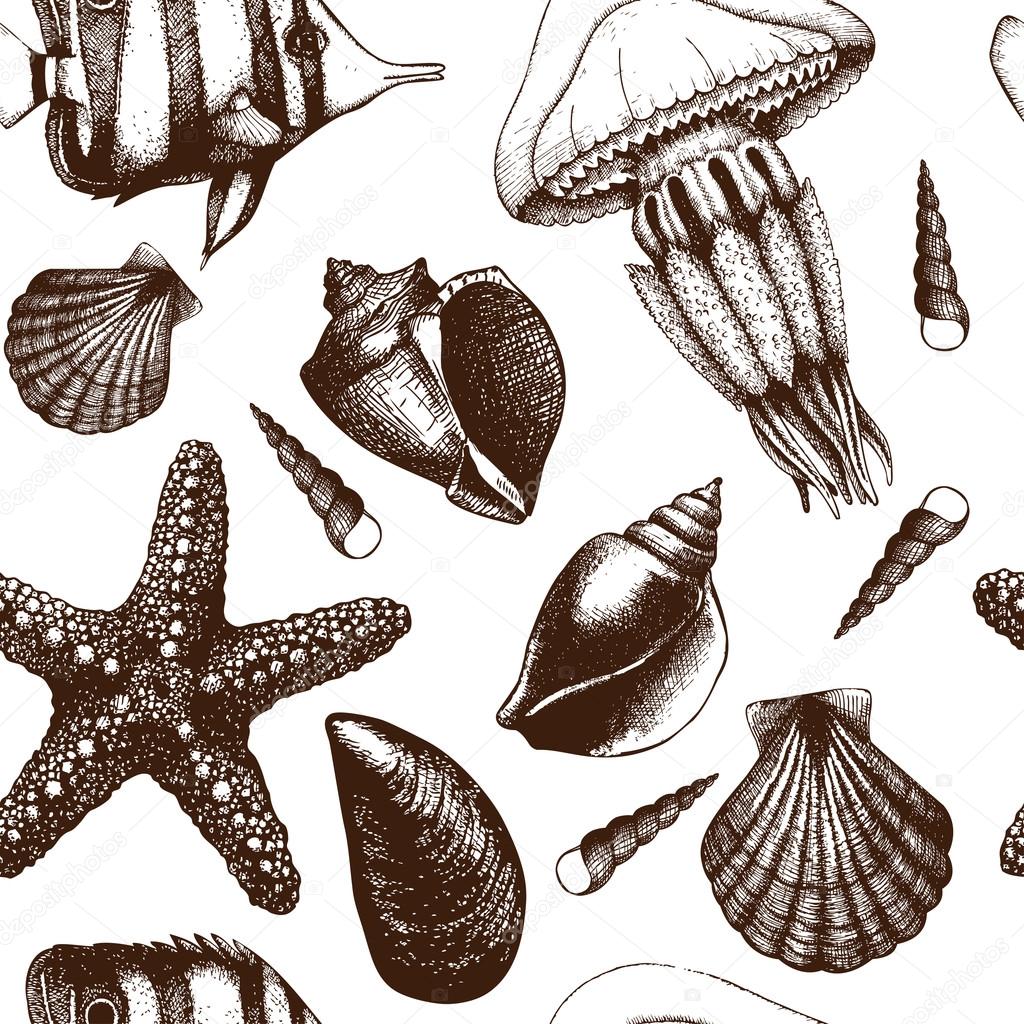 Pattern with fishes, sea shells, sea stars and jellyfishes