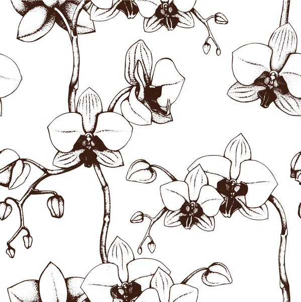 Modello senza cuciture di orchidea disegnata a mano — Vettoriale Stock