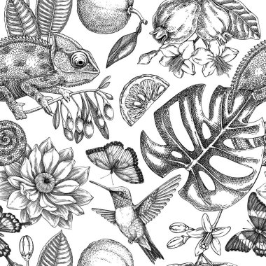Tropikal desensiz tasarım. Egzotik çiçekler, kuşlar, hayvanlar elle çizilmiş vektör çizimleri. Klasik çiçek arkaplanı. Yapay zeka oluşturulmamış Vektör illüstrasyonu.