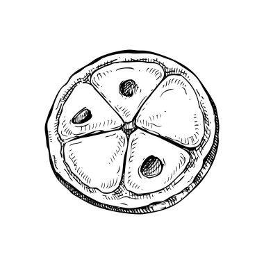 Cupuacu - tropikal bitki eskizi. Süper meyve elle çizilmiş vektör çizimi. Amazon yemeği çizimi. Yapay zeka oluşturulmamış Vektör illüstrasyonu.