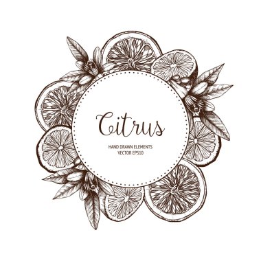 hand drawn orange fruit, flowers