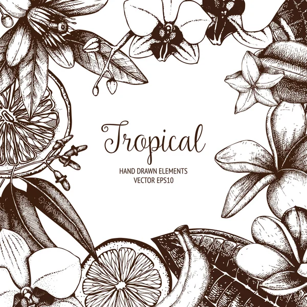 Hand drawn tropical fruit, flowers — Διανυσματικό Αρχείο